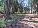4523 Bedwell Harbour Rd, Pender Island, BC 