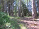 4523 Bedwell Harbour Rd, Pender Island, BC 