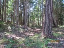 4523 Bedwell Harbour Rd, Pender Island, BC 