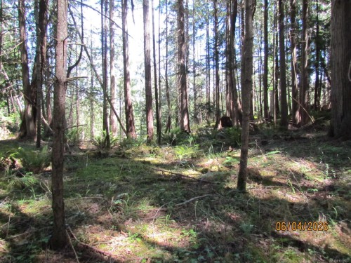 4523 Bedwell Harbour Rd, Pender Island, BC 