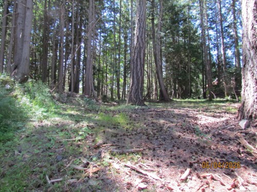 4523 Bedwell Harbour Rd, Pender Island, BC 