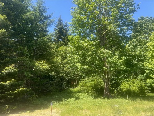 Lot 4 Creekside Dr, Quadra Island, BC 