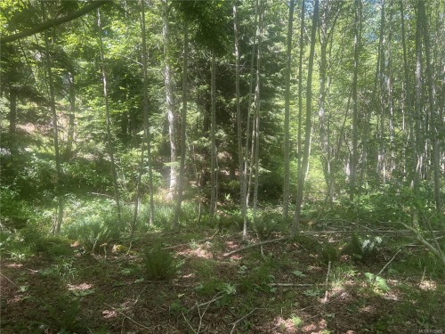 Lot 4 Creekside Dr, Quadra Island, BC 