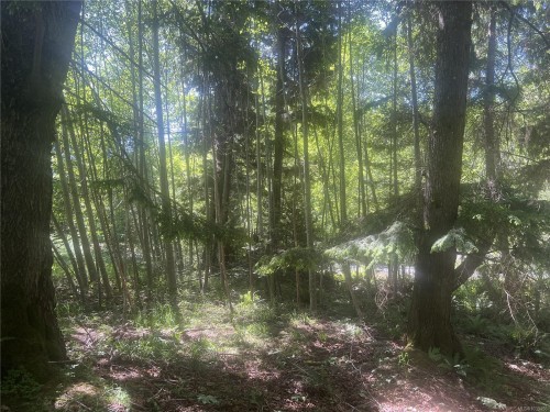 Lot 4 Creekside Dr, Quadra Island, BC 