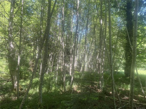 Lot 4 Creekside Dr, Quadra Island, BC 