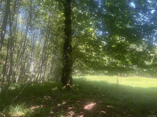 Lot 4 Creekside Dr, Quadra Island, BC 