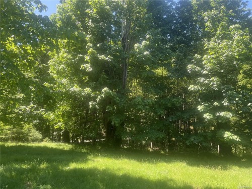 Lot 4 Creekside Dr, Quadra Island, BC 