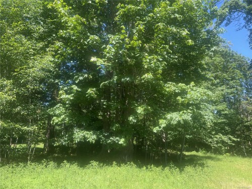 Lot 4 Creekside Dr, Quadra Island, BC 