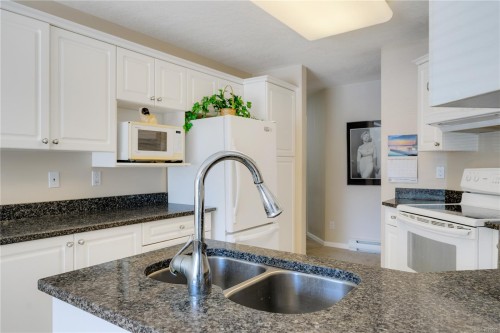 #207-245 First St, Duncan, BC - Indoor Photo Showing Kitchen With Double Sink