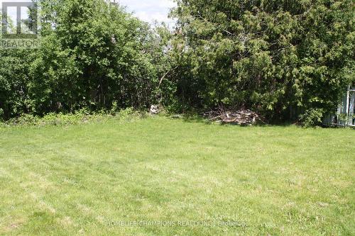 711 Otonabee Drive, Peterborough, ON 