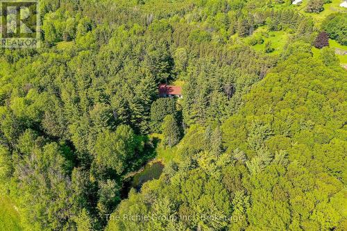 Private Forest Retreat! - 247483 5 Side Road, Mono, ON 