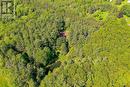 Private Forest Retreat! - 247483 5 Side Road, Mono, ON 