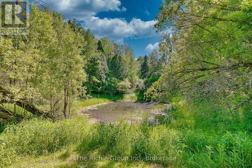 Trail to the pond - 247483 5 Side Road, Mono, ON 