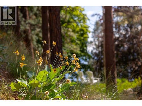 Lot A Okanagan Centre Road W, Lake Country, BC 