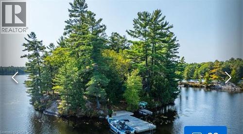 431 Healey Lake, The Archipelago, ON 