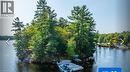 431 Healey Lake, The Archipelago, ON 