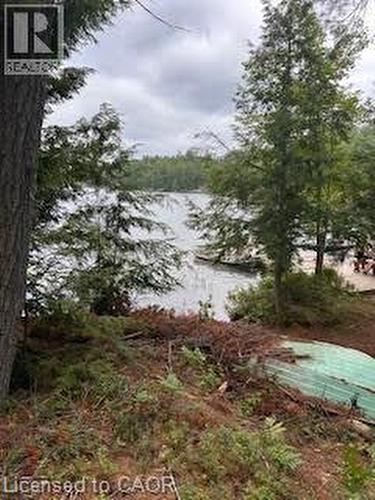 431 Healey Lake, The Archipelago, ON 