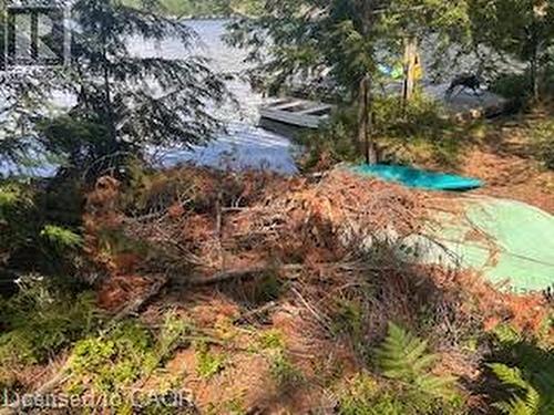 431 Healey Lake, The Archipelago, ON 