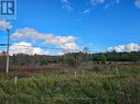 Pt Lt27 Grey Road 13, Grey Highlands, ON 