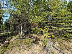 7083 SALTER ROAD Sheridan Lake, BC V0K 1X1