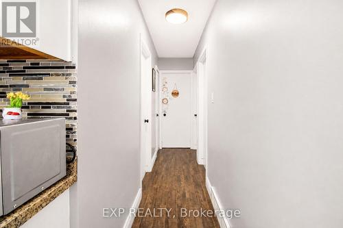 103 Mcanulty Boulevard, Hamilton, ON 