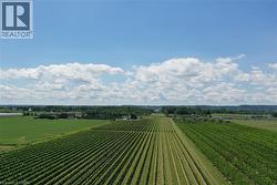 Expansive agricultural property featuring multiple rows of established crops - 