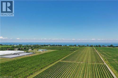 Expansive agricultural property featuring multiple rows of cultivated crops, a large water body in the background, and distant structures - 3705 Service Road N, Beamsville, ON 