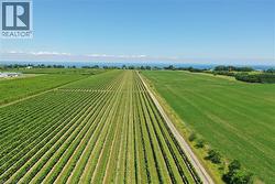 Expansive agricultural property featuring rows of cultivated crops, a clear blue sky, and a distant body of water - 