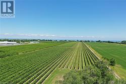 Expansive agricultural property featuring rows of green crops - 