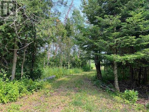 Lot 2 & 3 Con Nelson Dr, St. Joseph Island, ON 