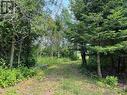 Lot 2 & 3 Con Nelson Dr, St. Joseph Island, ON 