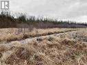 Lot 2 & 3 Con Nelson Dr, St. Joseph Island, ON 