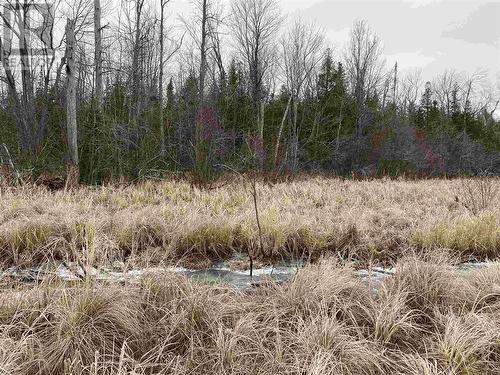 Lot 2 & 3 Con Nelson Dr, St. Joseph Island, ON 