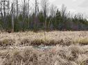 Lot 2 & 3 Con Nelson Dr, St. Joseph Island, ON 