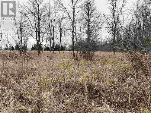 Lot 2 & 3 Con Nelson Dr, St. Joseph Island, ON 