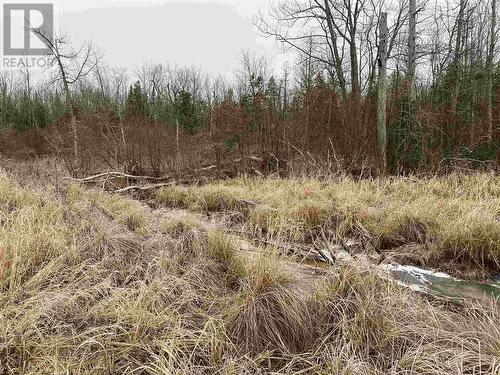 Lot 2 & 3 Con Nelson Dr, St. Joseph Island, ON 