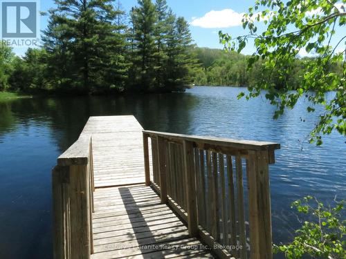 2315 Loop Road, Highlands East (Monmouth), ON 