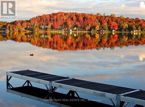 84 Maryland Drive, Selwyn, ON 