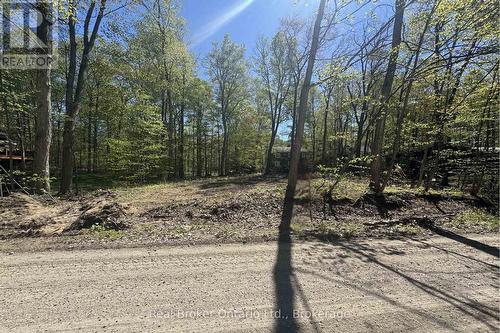 Lot 58 Beau Rivage Avenue, Tiny, ON 
