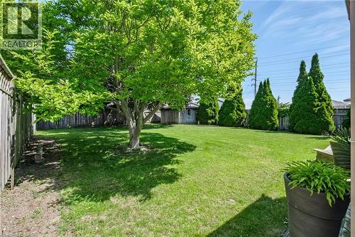 Expansive backyard featuring a manicured lawn, established shade tree, mature evergreen shrubs, and wood privacy fencing - 141 Lynndale Road, Simcoe, ON 