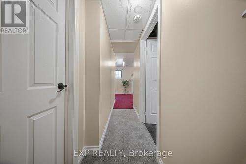 124 Dunsmere Drive, Kitchener, ON 