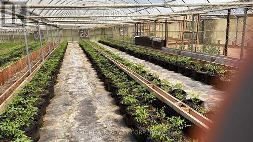 1269 1273 Larkin Road E, Niagara-On-The-Lake, ON 