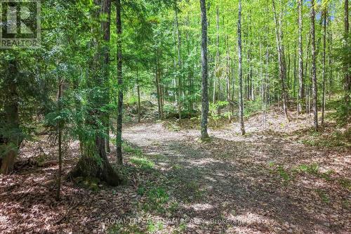 102-B Mcvicar Lane, Mcnab/Braeside, ON 