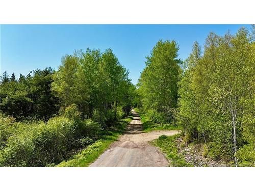 Lot Dargavels Rd, Bass River, NB 