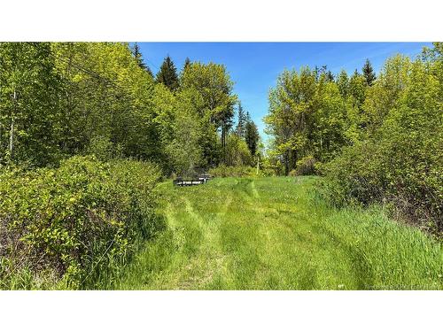 6860 Route 102, Dumfries, NB 
