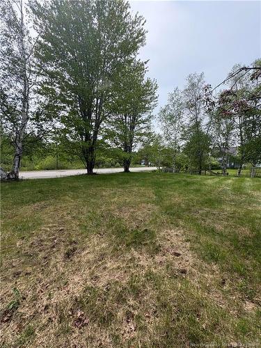 2687 Hwy 108, Renous, NB 