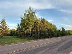 Lot Route 115 Notre-Dame, NB E4V 2E7