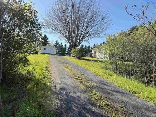 768 Mount William Road, Mount William, NS 