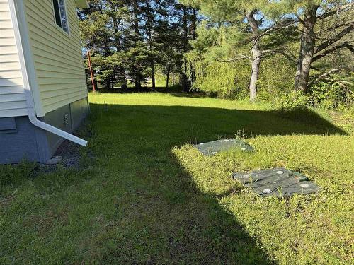 768 Mount William Road, Mount William, NS 