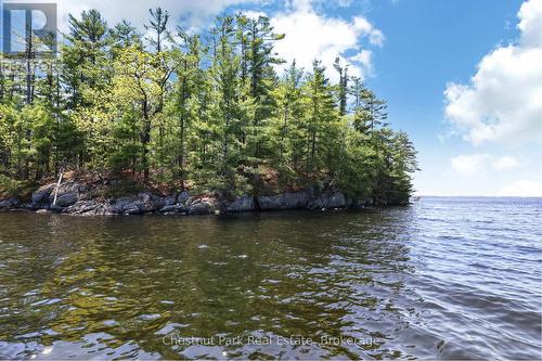 1 ISLAND 20ML ISLAND  Gravenhurst (Muskoka (S)), ON P1P 1R2